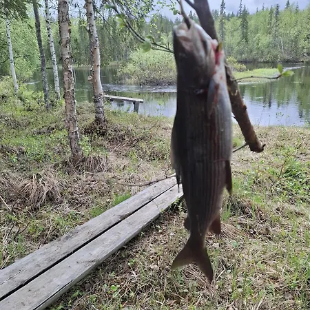 Lomamökit Lisman Lumo *