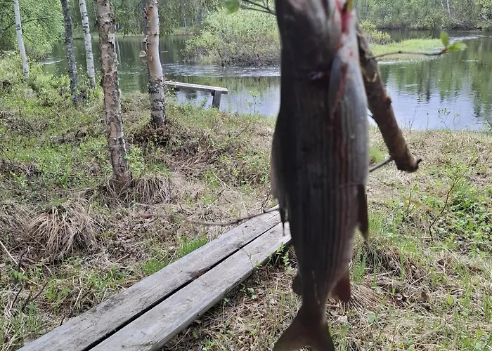 Шале Lisman Lumo *