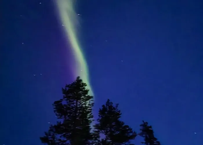 Шале Lisman Lumo